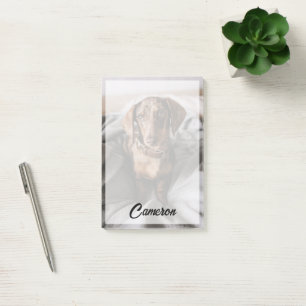 Notas Post-it® Animales de bebé más afectados Chocolate Dachshu