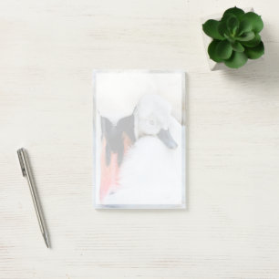 Notas Post-it® Animales de bebé más afectados Cisne de mamada m