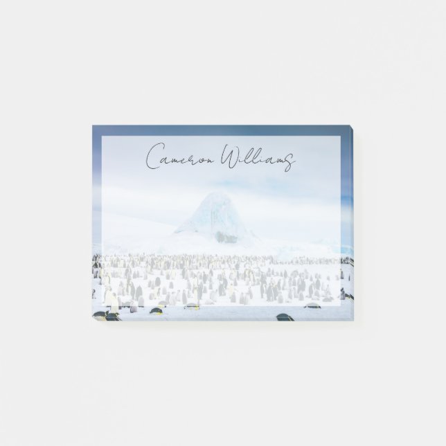 Notas Post-it® Animales de bebé más afectados | Colonia Emperador (Anverso)