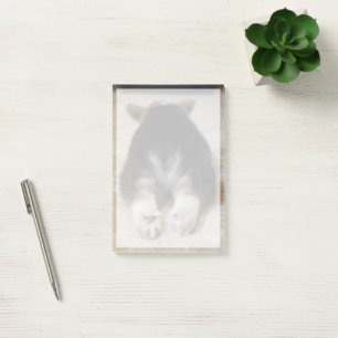 Notas Post-it® Animales de bebé más afectados   Corgi Puppy Detrá