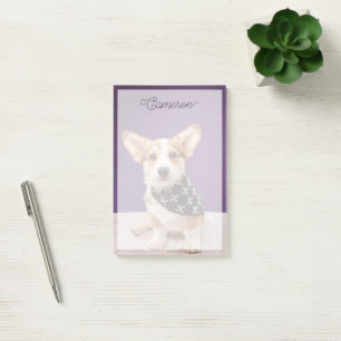 Notas Post-it® Animales de bebé más afectados   Corgi Puppy Skull