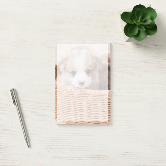 Notas Post-it® Animales de bebé más afectados | Corgi Tiny Puppy (Oficina)