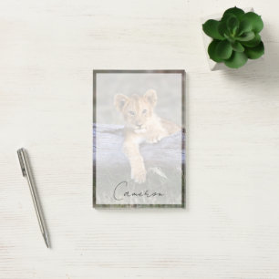 Notas Post-it® Animales de bebé más afectados   Cubo de león cort