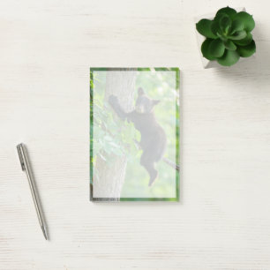 Notas Post-it® Animales de bebé más afectados   Cubo de oso negro