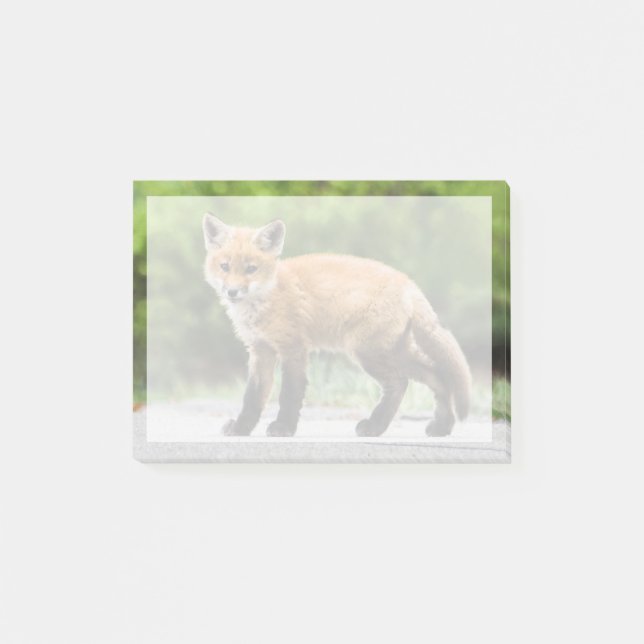Notas Post-it® Animales de bebé más afectados | Cutey Fox (Anverso)