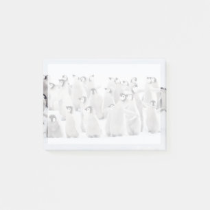 Notas Post-it® Animales de bebé más afectados Emperador Pingüin