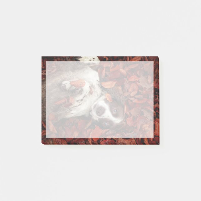 Notas Post-it® Animales de bebé más afectados | Español en hojas  (Anverso)