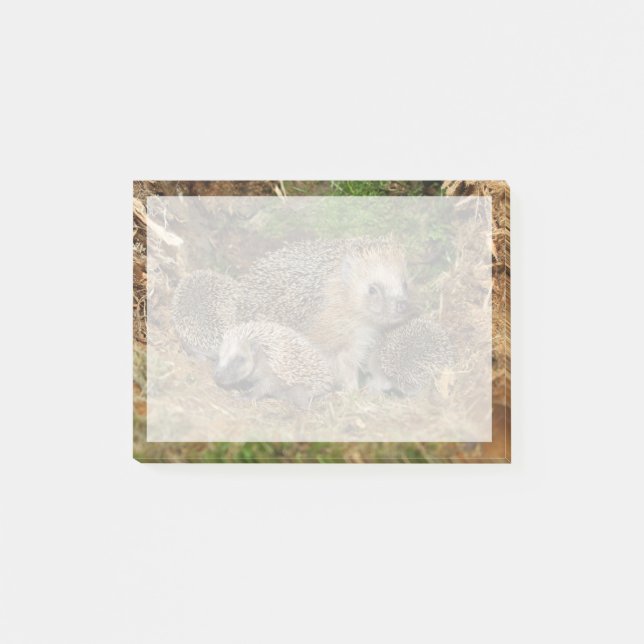 Notas Post-it® Animales de bebé más afectados | Familia Hedgehog (Anverso)