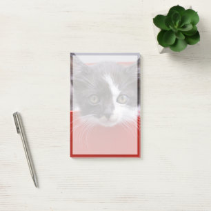 Notas Post-it® Animales de bebé más afectados   Gatito blanco y n