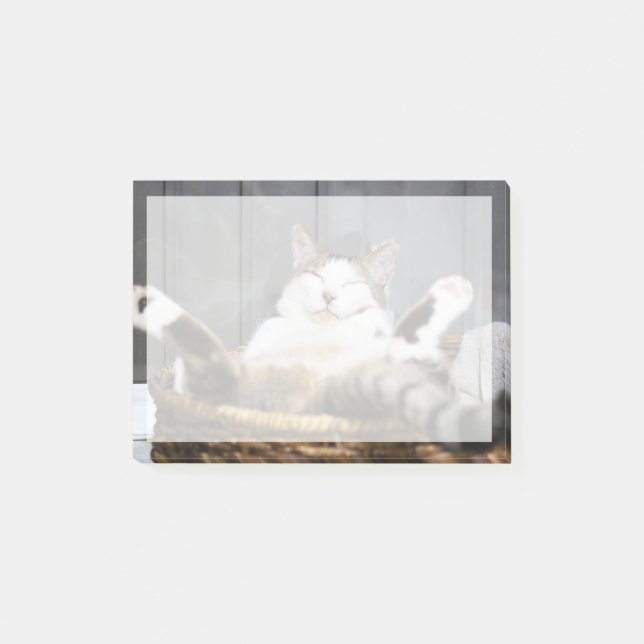 Notas Post-it® Animales de bebé más afectados | Gato en la cama (Anverso)