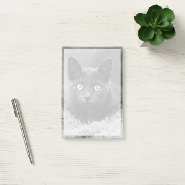 Notas Post-it® Animales de bebé más afectados | Gato gris (Oficina)