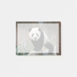Notas Post-it® Animales de bebé más afectados   Gigante Panda Bab