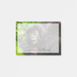 Notas Post-it® Animales de bebé más afectados   Gorila de montaña