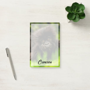 Notas Post-it® Animales de bebé más afectados   Gorila de montaña