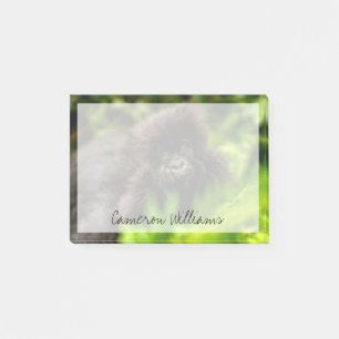 Notas Post-it® Animales de bebé más afectados   Gorila de montaña
