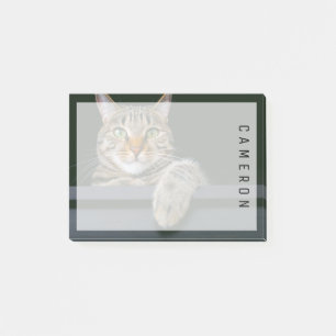 Notas Post-it® Animales de bebé más afectados Gris Tabby Cat Fa