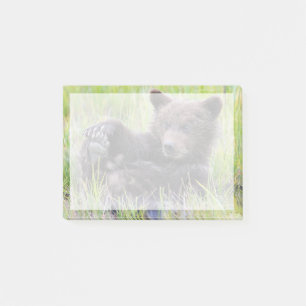 Notas Post-it® Animales de bebé más afectados   Jugar con el cubo