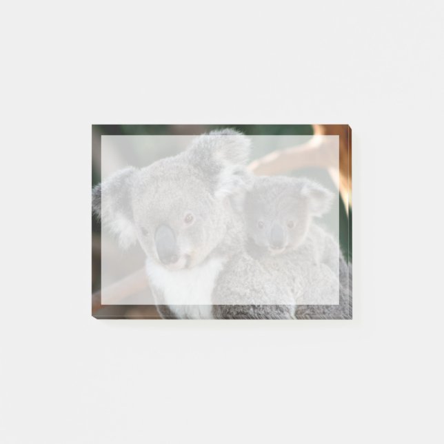 Notas Post-it® Animales de bebé más afectados | Koala y Joey (Anverso)