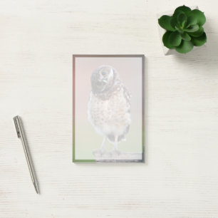 Notas Post-it® Animales de bebé más afectados   Lechuza Ardiente