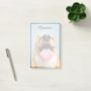 Notas Post-it® Animales de bebé más afectados   Lengua Corgi