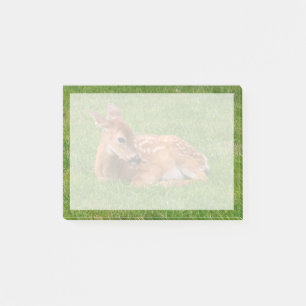 Notas Post-it® Animales de bebé más afectados Little Fawn