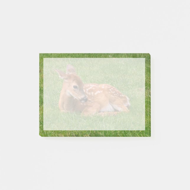 Notas Post-it® Animales de bebé más afectados | Little Fawn (Anverso)