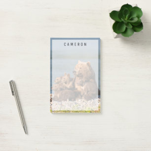Notas Post-it® Animales de bebé más afectados   Madre Oso y Cubos