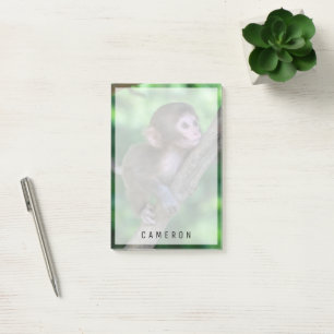 Notas Post-it® Animales de bebé más afectados Mono bebé