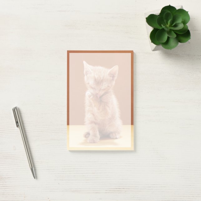 Notas Post-it® Animales de bebé más afectados | Naranja Tabby Kit (Oficina)