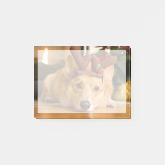 Notas Post-it® Animales de bebé más afectados | Navidades de Corg (Anverso)