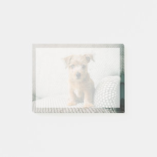 Notas Post-it® Animales de bebé más afectados   Norfolk Terrier P