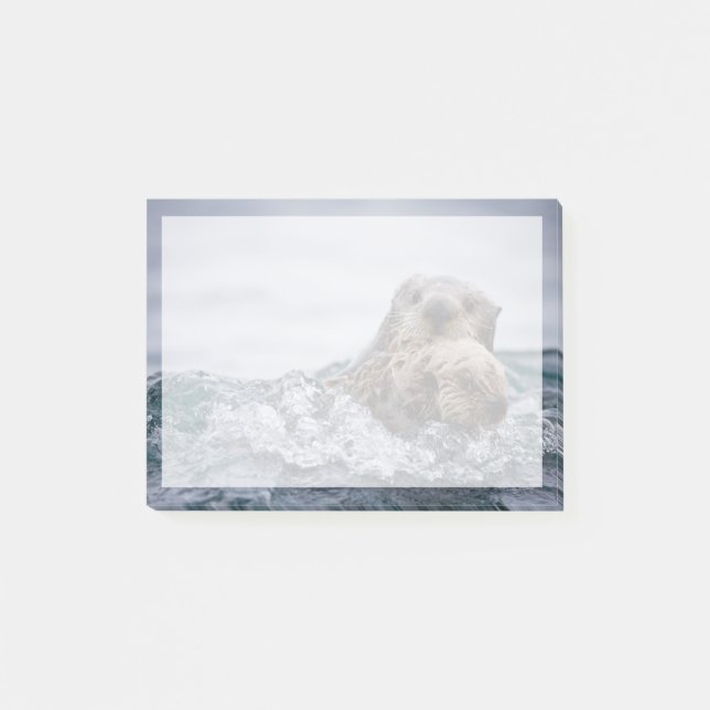 Notas Post-it® Animales de bebé más afectados | Otter Baby & Moth (Anverso)