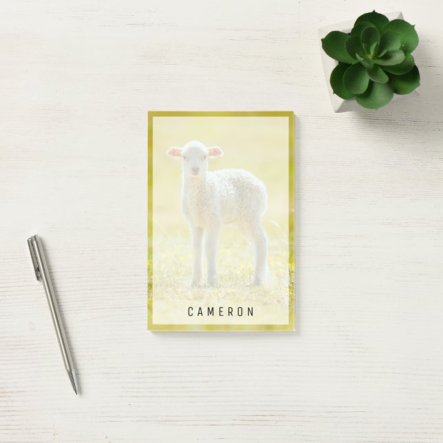 Notas Post-it® Animales de bebé más afectados | Ovejas jóvenes (Oficina)
