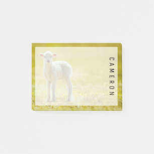 Notas Post-it® Animales de bebé más afectados   Ovejas jóvenes