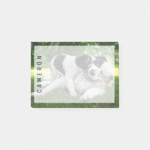 Notas Post-it® Animales de bebé más afectados   Papúa silvestre