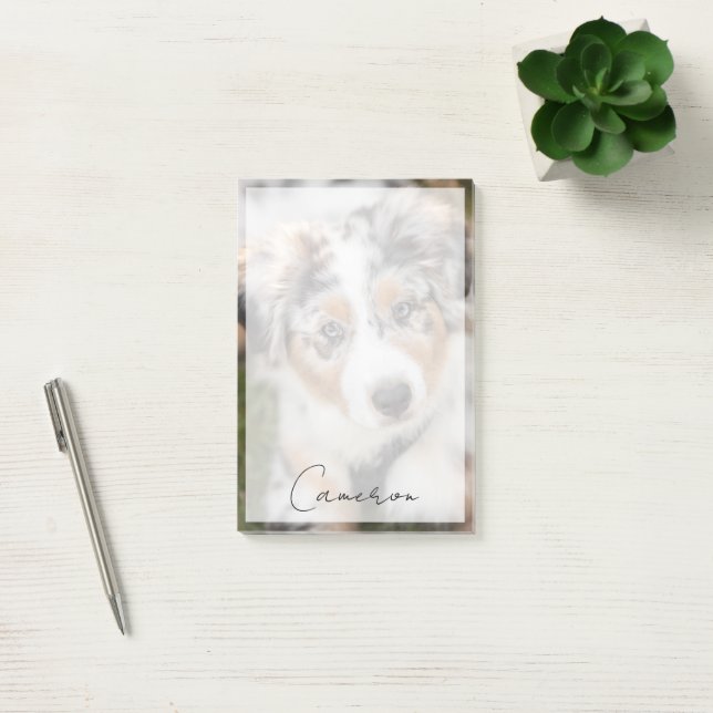 Notas Post-it® Animales de bebé más afectados | Pastor Australian (Oficina)