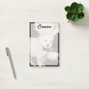 Notas Post-it® Animales de bebé más afectados   Pila de cachorros