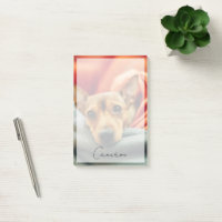 Animales de bebé más afectados | Pinscher en minia