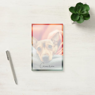 Notas Post-it® Animales de bebé más afectados   Pinscher en minia