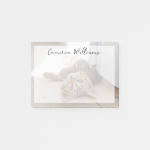 Notas Post-it® Animales de bebé más afectados Shorthair Tabby K