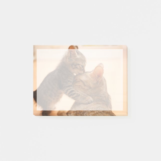 Notas Post-it® Animales de bebé más afectados | Tabby Kitten Kiss (Anverso)