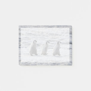 Notas Post-it® Animales de bebé más afectados   Tres chicles ping