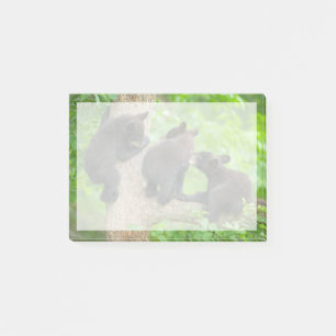Notas Post-it® Animales de bebé más afectados   Tres jóvenes osez