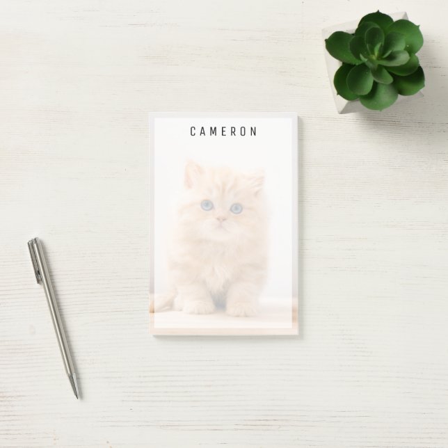 Notas Post-it® Animales de bebé más afectados | Un Gatito Británi (Oficina)