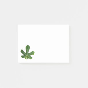 Notas Post-it® Árbol de higos Estanco de hoja verde único aislado