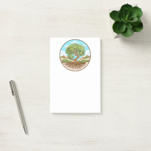 Notas Post-it® Árbol de oliva Símbolo de paz en tierra palestina