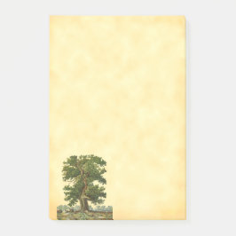Notas Post-it® Árbol de roble vintage lo publica