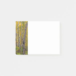 Notas Post-it® Árboles ápicos en el bosque