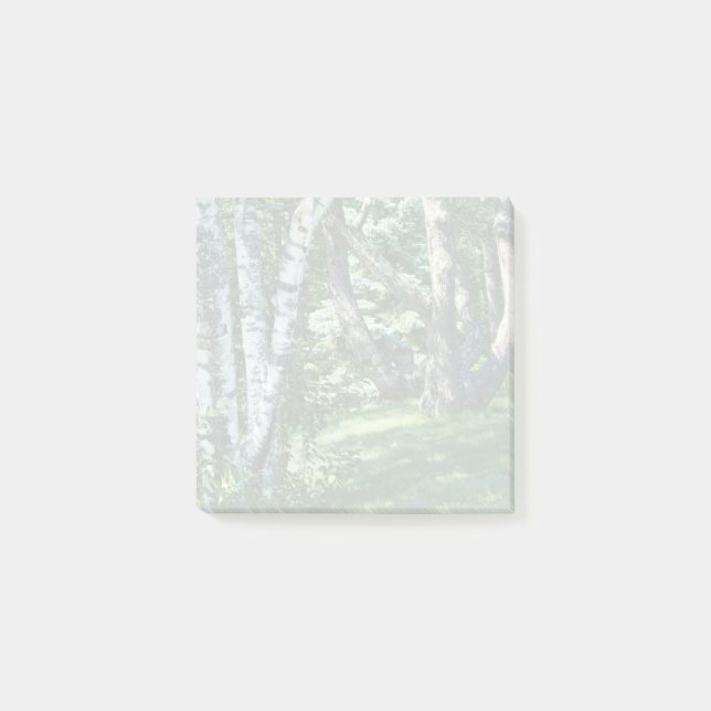 Notas Post-it® Árboles de la colina (Anverso)