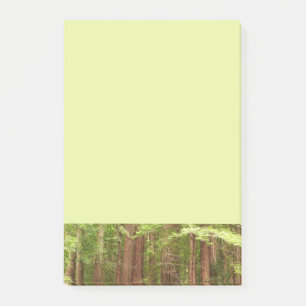 Notas Post-it® Árboles de secuoya en monumento nacional Muir Wood